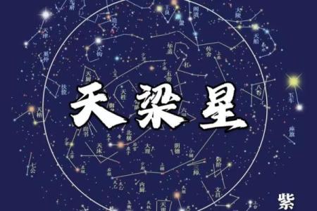 紫薇斗数shenpa
