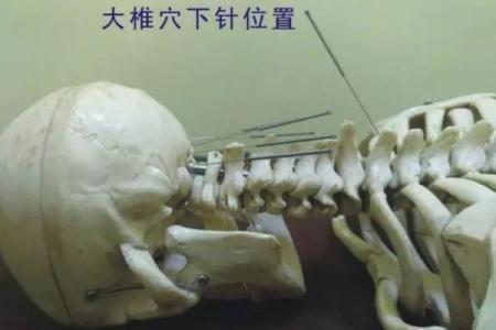 八字疗法图