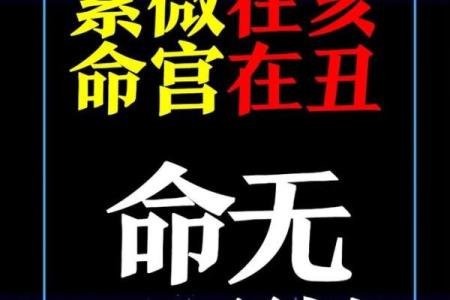 紫薇斗数不得地