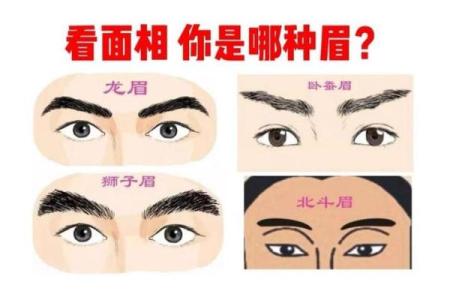 分析倒八字眉的男人命运