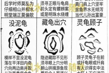 祖坟的风水_是一个家庭更好的风水你认同这句话吗