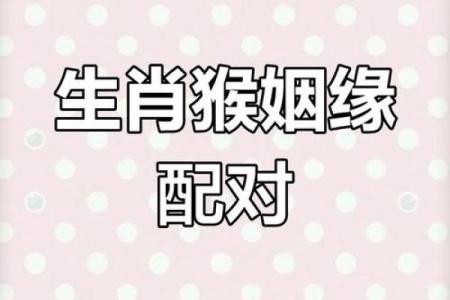 属猴和什么属相最配对 属猴和什么属相相冲