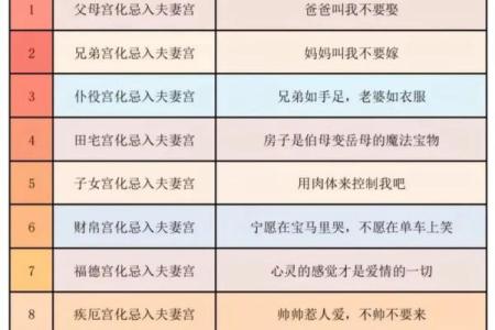 紫微斗数术语解释之：对星