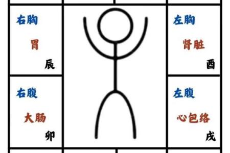 紫微斗数之人事十二宫的其他表意