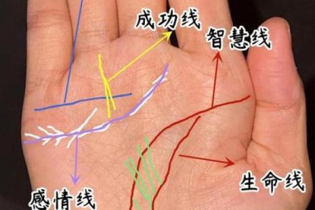 看手相算命图解：指纹