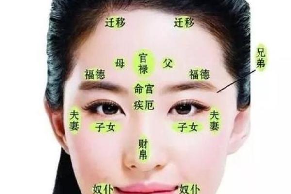 面相算命入门：三停，什么是三停？