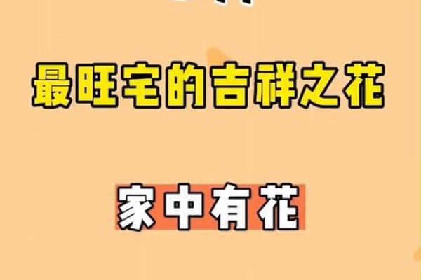 需重视风水十大吉祥花忌讳禁忌