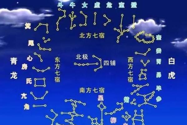 紫薇斗数盘每排文字代表什么