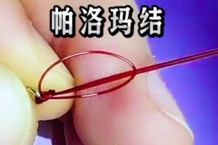 八字环打结