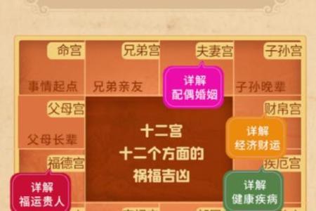 八字命盘-白牛运势解析，详细分析白牛性格特点及未来运势