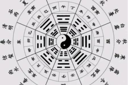八字中的通根何解 八字通根含义是什么