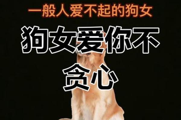 属狗的女人和什么属相最配对 属狗的女人和什么属相最配婚姻