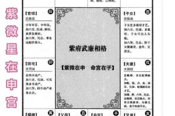 紫薇星左辅右弼入夫妻宫