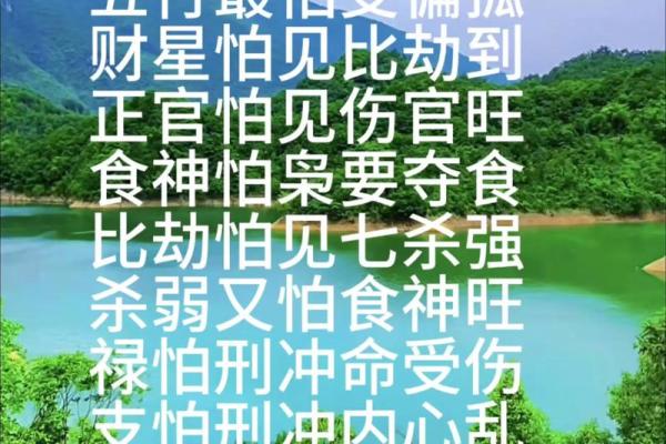 八字哲理