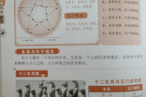 什么生肖最相配？十二生肖婚姻配对大全