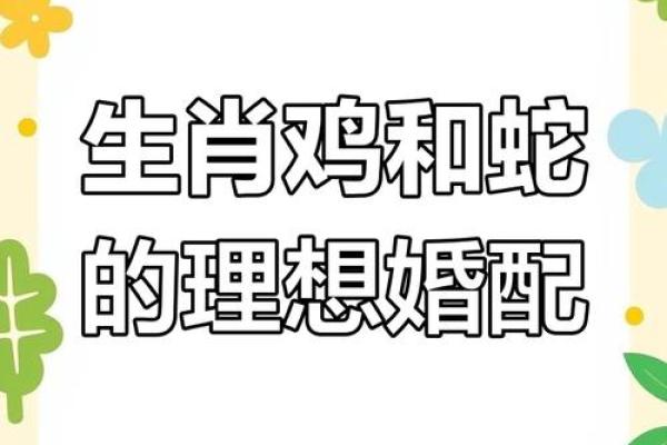 属鸡人属相姻缘配对