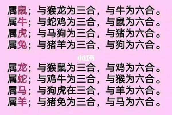 配对要谨慎的生肖组合