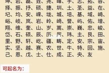 宝宝起名测八字,宝宝取名侧分网