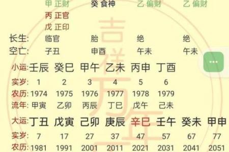 紫薇斗数外格
