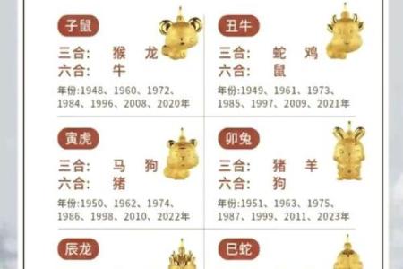 龙生肖配对大揭秘，十二生肖知识详解