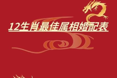 生肖配对查询男女
