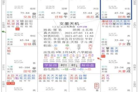 紫薇斗数测学业