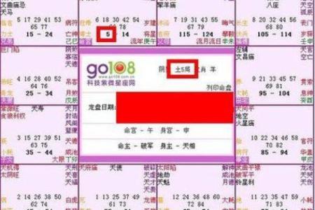 紫薇斗数加吉是什么
