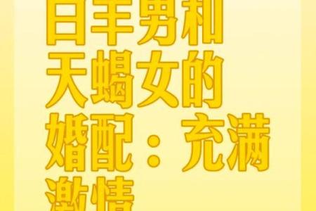 对白羊女专一的星座男