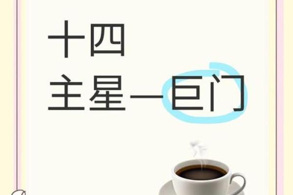 大猫紫薇斗数博客