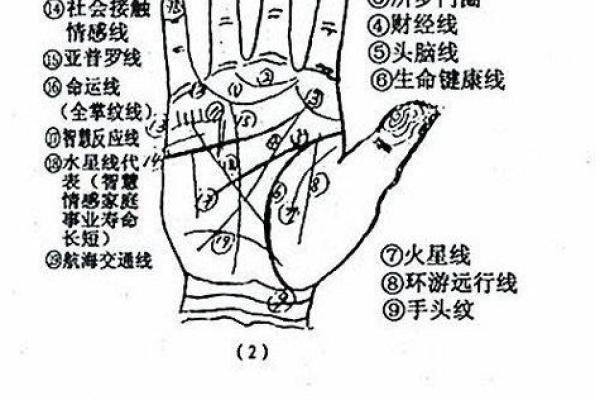 手相算命图解，手相图解大全