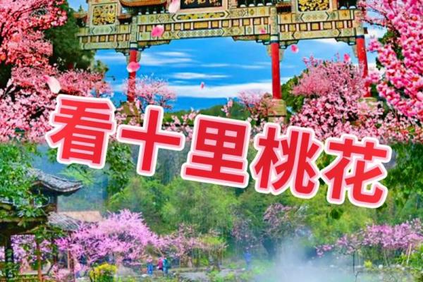 让你早日摘得桃花归的婚恋风水