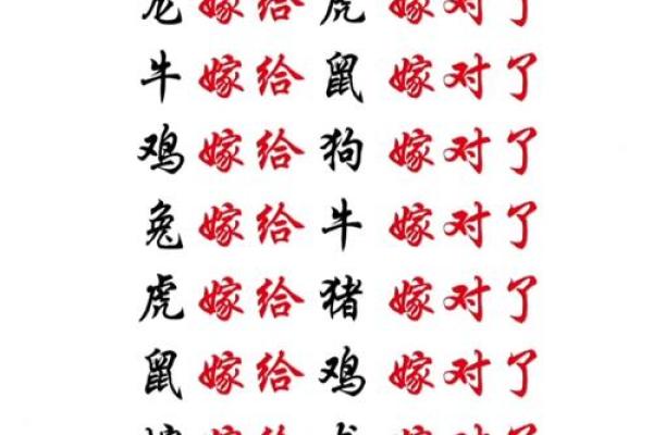 属龙的跟属龙的结婚属上等婚吗 配对要注意什么