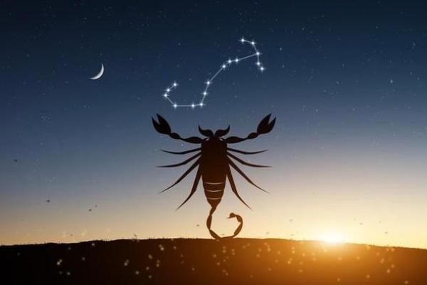 完全不在乎高价电影票再贵都会去看的星座