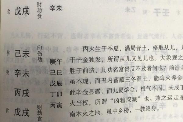 儿格八字