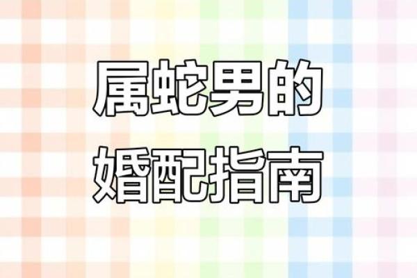属蛇的男人应该与哪个生肖进行配对