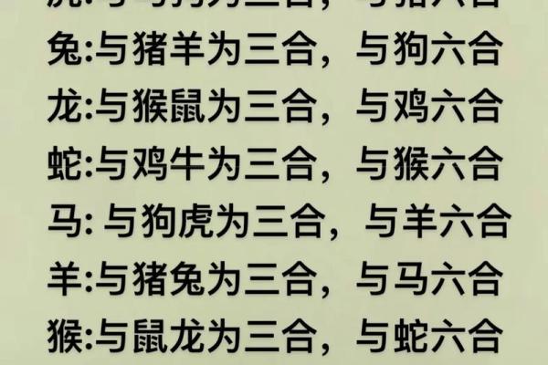 属蛇的男人应该与哪个生肖进行配对