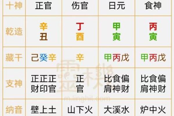 八字有丁未