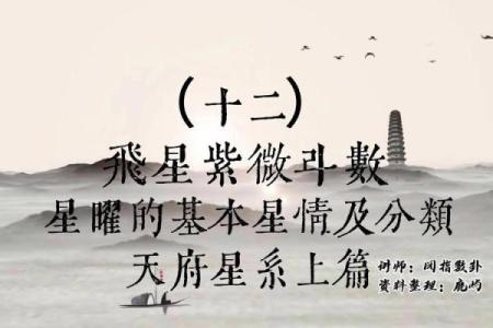 紫微斗数之各星曜所主行业：智商与考试