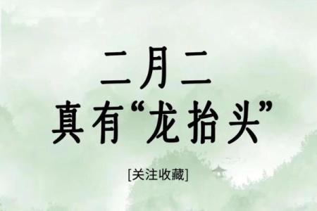 2024年农历二月二龙抬头日子黄历如何？