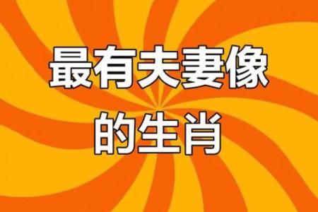 夫妻配对，对照看看。