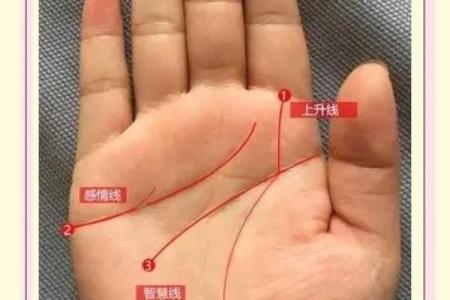 图解;手相赌运纹算命