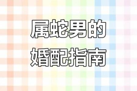 属蛇的男人应该与哪个生肖进行配对