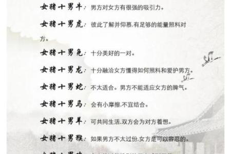 婚姻配对属龙和属猪姻缘怎么样