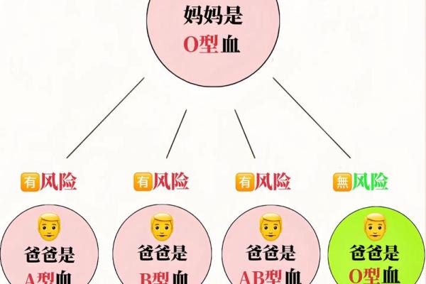血型可以决定智商吗！哪种血型更容易成为学霸呢