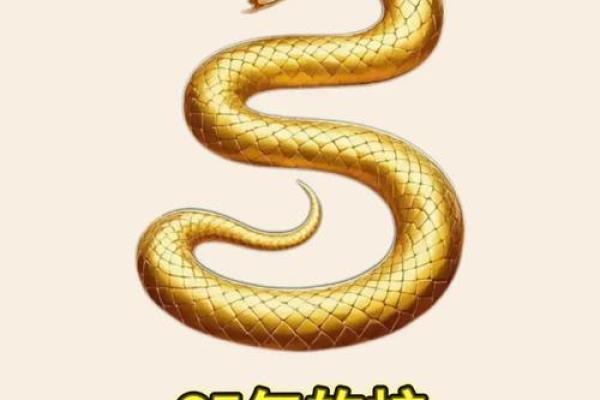 属蛇是哪一年出生的 属蛇的男孩出生吉日