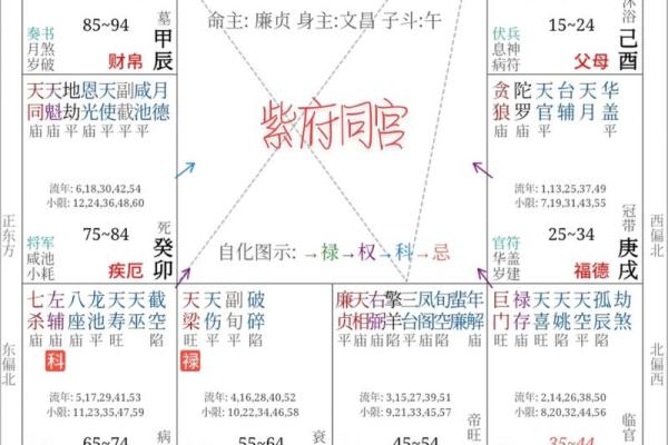 紫薇斗数同盘会怎样