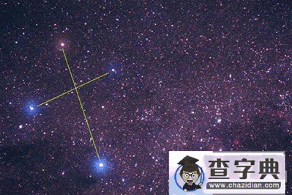 星座里面有苍蝇座吗