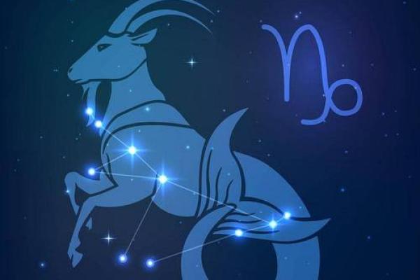 星座里面有苍蝇座吗