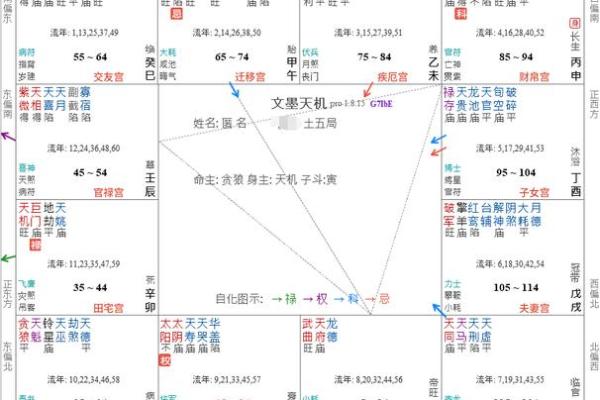 紫薇斗数各宫化