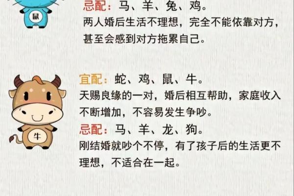 龙生肖配对姻缘 龙生肖配对排名？